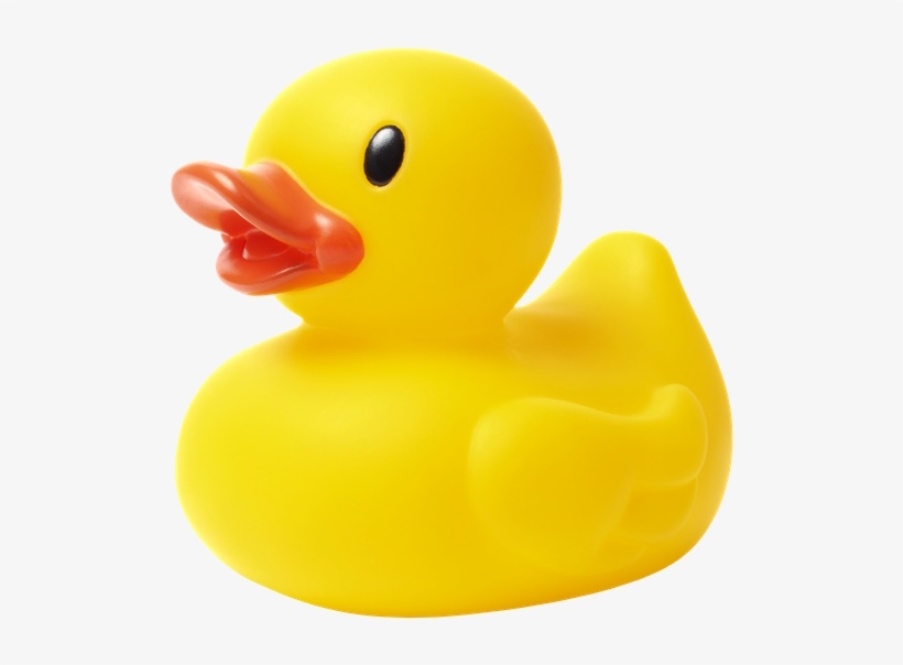 Photo of a rubber ducky