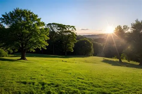 Summer Photo Winner #1 Summer Photo Winner #1